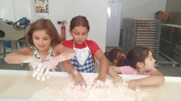 d5a88150-3702-45b5-917e-29ba038a686a