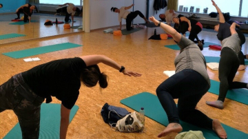 c6eb0e6b-bf73-45dd-a109-44f68c415ef2